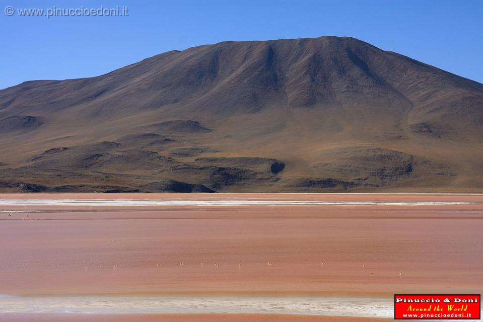 BOLIVIA 2 - Laguna Colorada - 05.jpg